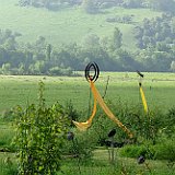 image jardin